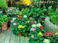 -尽善百年古院餐厅(王家老宅店)