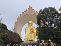 -庐山风景名胜区-东林大佛