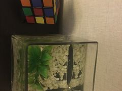 -桔子酒店(上海西藏北路地铁站店)