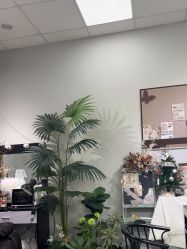 -LEILEI NAIL蕾蕾美甲美睫