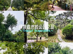 -元大都城垣遗址公园