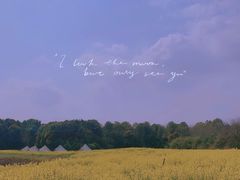 -花博汇(知音花月夜)