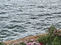 -大理洱海