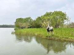 -溱湖国家湿地公园