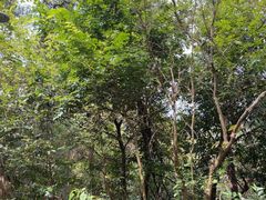 -白云山风景名胜区