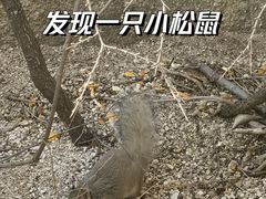 -古崖居风景名胜区