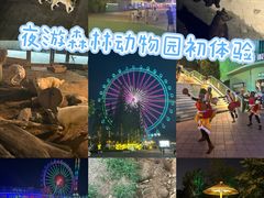 -大连森林动物园