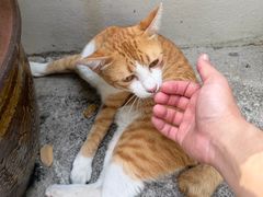 -云石寺