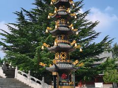 -龙口南山旅游景区