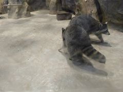 -台州海洋世界