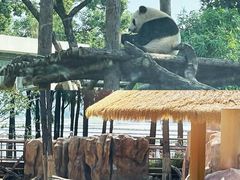 -武汉动物园