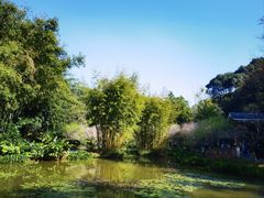 -广州市白云山风景名胜区