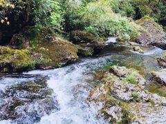 -龙苍沟森林公园
