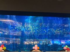 -成都浩海立方海洋公园