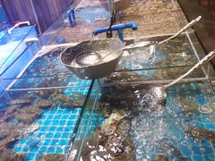 -领鲜活海鲜榴莲自助火锅(东门店)