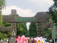 -溱湖国家湿地公园