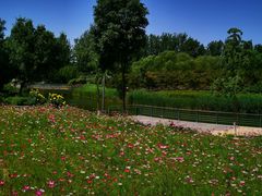 -大兴滨河森林公园