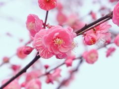 -重庆彩云湖湿地公园