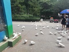 -青城公园