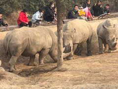 -西安秦岭野生动物园