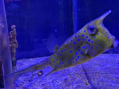 -太平洋海底世界