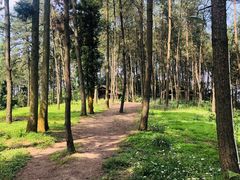 -重庆雨台山风景区