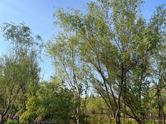 -红山体育度假乐园
