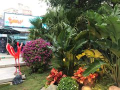 -三亚海韵度假酒店·渔人码头海鲜火锅BBQ自助餐厅·落日吧