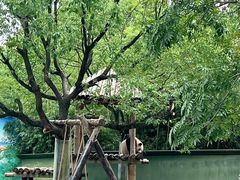 -上海野生动物园
