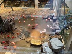 -麒麟中餐厅·经典粤菜·地道菜式老字号(广州长隆酒店)