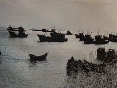 -映像威海·海鲜味道(经区店)