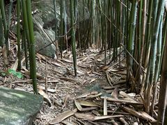 -井空里大峡谷