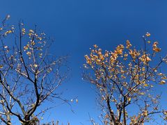 -呈贡滇池生态湿地公园