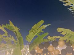 -天空花园餐吧·生日·团建(南山店)