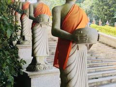 -西双版纳勐泐文化旅游区