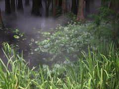 -东湖落雁景区