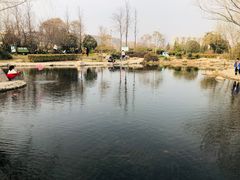 -郑东新区湿地公园