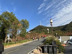 -如意山房柿子树下餐厅