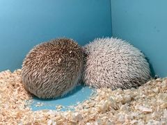 -FAIRYLAND龙族星球主题餐厅(凯丹广场店)