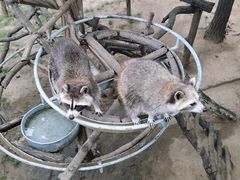 -西霞口神雕山野生动物世界