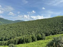-灵山