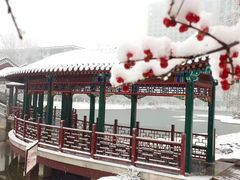 -西海子公园