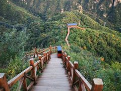 -大岭沟猕猴桃谷风景区
