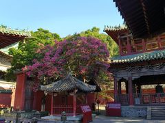 -报恩寺(平武县)