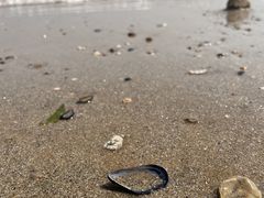 -金沙滩海水浴场(万平口景区4号门扬帆广场店)