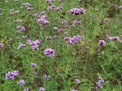 -雪浪山卡丁车俱乐部