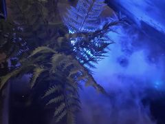 -绿茶餐厅(燕郊永旺店)