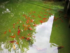 -丫沙底瀑布温泉