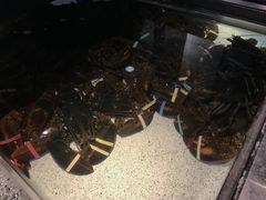 -RED LOBSTER(中城西店)
