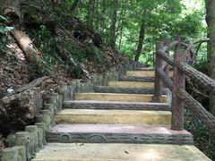 -江西阳明山国家森林公园